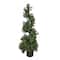 4ft. Pre-Lit Boxwood Spiral Topiary In Nursery Pot